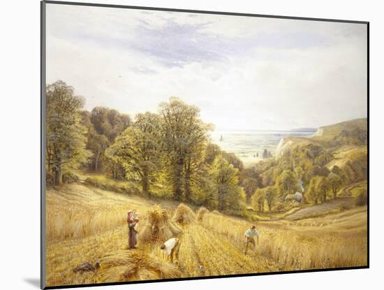 Golden Harvest on the South Coast-Alfred Augustus Glendenning-Mounted Giclee Print