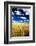 Golden Harvest Wheat, Palouse Country, Washington, USA-Terry Eggers-Framed Photographic Print