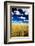 Golden Harvest Wheat, Palouse Country, Washington, USA-Terry Eggers-Framed Photographic Print