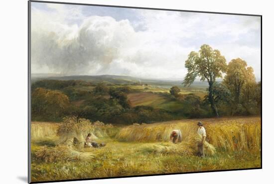 Golden Harvest-George Turner-Mounted Giclee Print