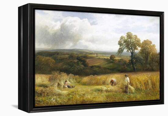 Golden Harvest-George Turner-Framed Premier Image Canvas