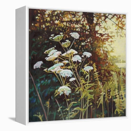 Golden Hedgerows II, 2013-Helen White-Framed Premier Image Canvas