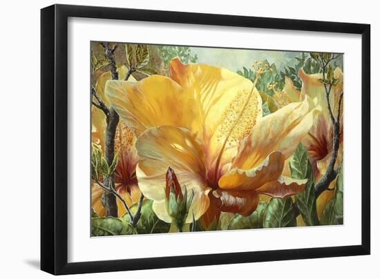 Golden Hibiscus-Elizabeth Horning-Framed Giclee Print