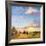 Golden Horizons-Casey McNamara-Framed Art Print