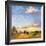 Golden Horizons-Casey McNamara-Framed Art Print