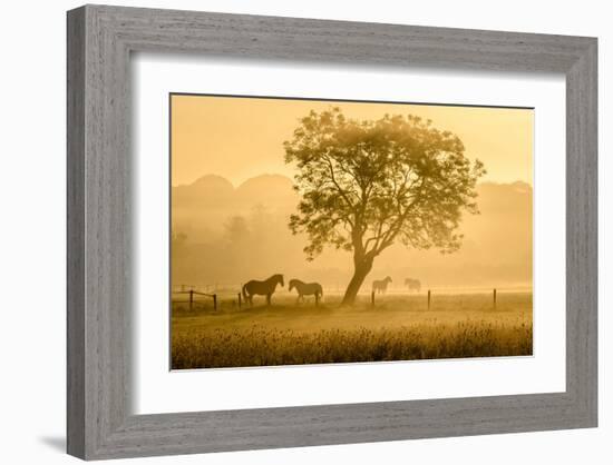 Golden Horses-null-Framed Art Print