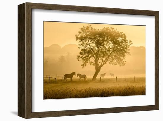 Golden Horses-null-Framed Art Print