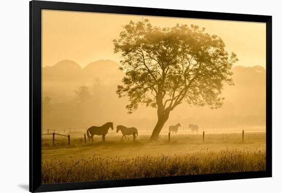 Golden Horses-null-Framed Art Print