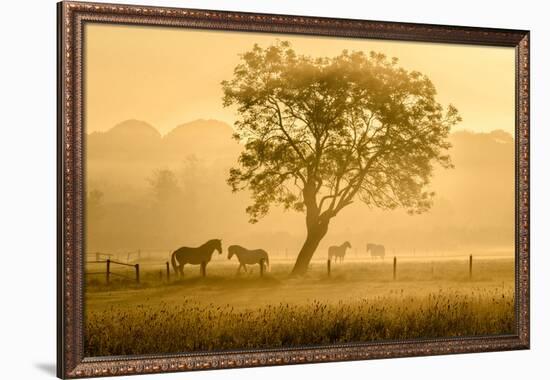 Golden Horses-null-Framed Art Print