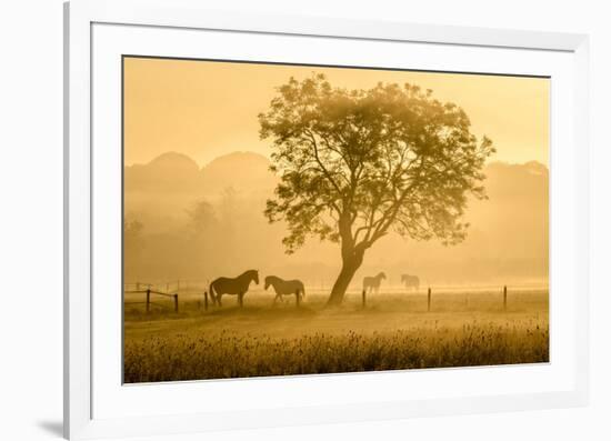 Golden Horses-null-Framed Art Print