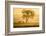 Golden Horses-Richard Guijt-Framed Photographic Print