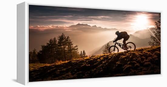 Golden Hour Biking-Sandi Bertoncelj-Framed Premier Image Canvas