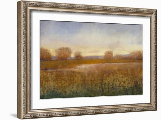 Golden Hour I-Tim O'toole-Framed Art Print