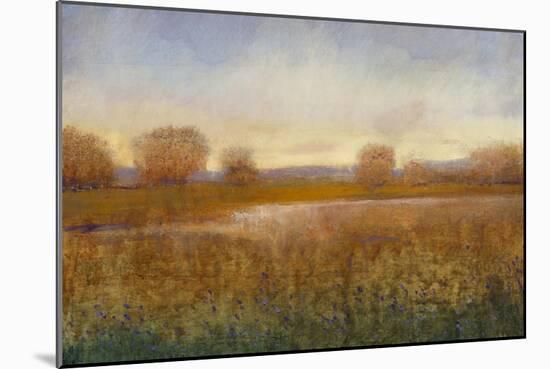 Golden Hour I-Tim O'toole-Mounted Art Print