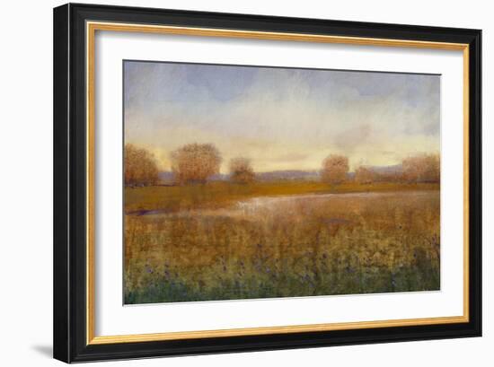 Golden Hour I-Tim O'toole-Framed Art Print