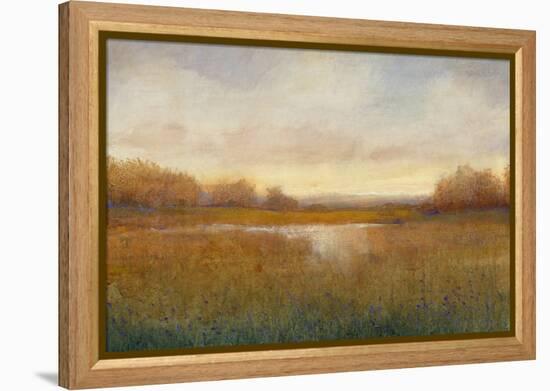 Golden Hour II-Tim O'toole-Framed Stretched Canvas