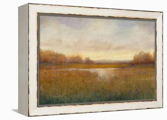 Golden Hour II-Tim O'toole-Framed Stretched Canvas