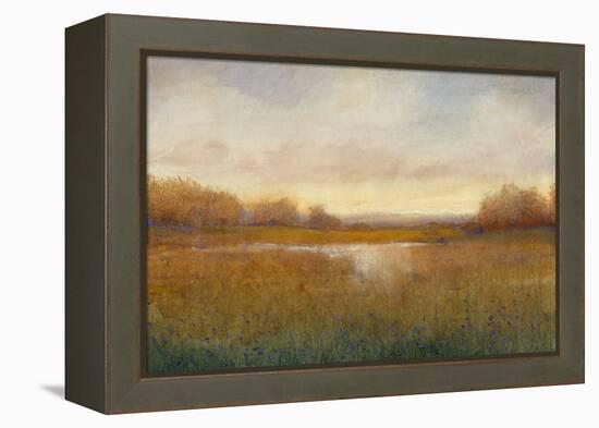 Golden Hour II-Tim O'toole-Framed Stretched Canvas