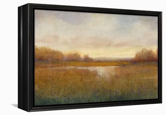 Golden Hour II-Tim O'toole-Framed Stretched Canvas