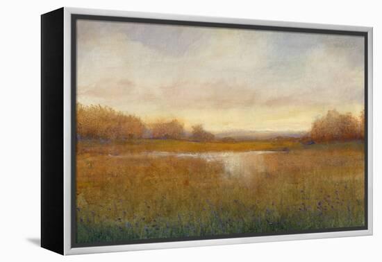 Golden Hour II-Tim O'toole-Framed Stretched Canvas