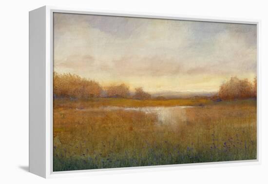 Golden Hour II-Tim O'toole-Framed Stretched Canvas