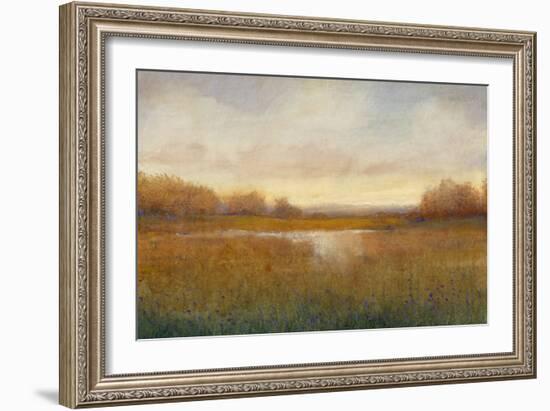 Golden Hour II-Tim O'toole-Framed Art Print