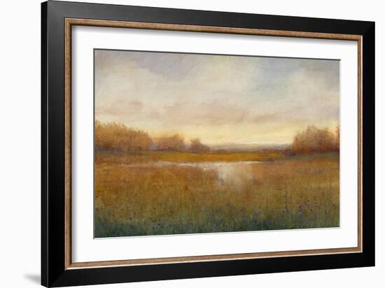 Golden Hour II-Tim O'toole-Framed Art Print