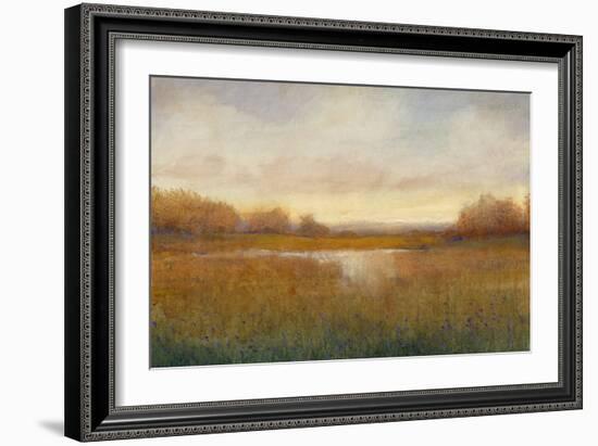 Golden Hour II-Tim O'toole-Framed Art Print