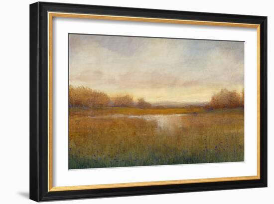 Golden Hour II-Tim O'toole-Framed Art Print