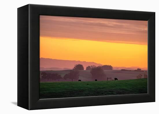 Golden Hour, Petaluma Hills, Farm Scene, Sonoma County-Vincent James-Framed Premier Image Canvas