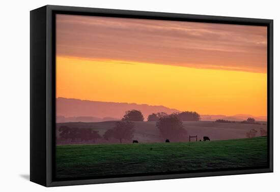 Golden Hour, Petaluma Hills, Farm Scene, Sonoma County-Vincent James-Framed Premier Image Canvas