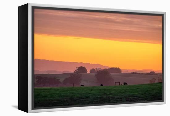 Golden Hour, Petaluma Hills, Farm Scene, Sonoma County-Vincent James-Framed Premier Image Canvas