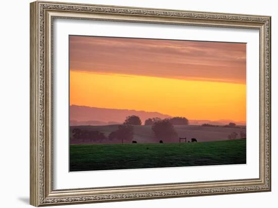 Golden Hour, Petaluma Hills, Farm Scene, Sonoma County-Vincent James-Framed Photographic Print