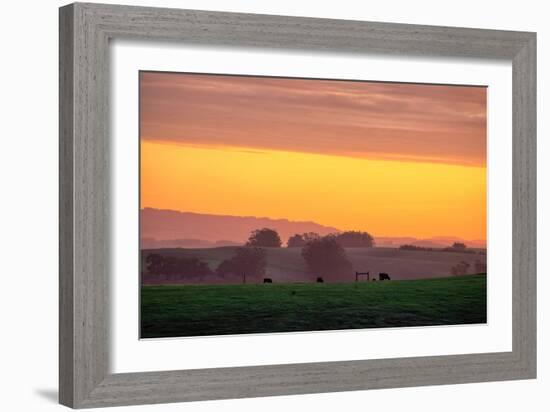 Golden Hour, Petaluma Hills, Farm Scene, Sonoma County-Vincent James-Framed Photographic Print