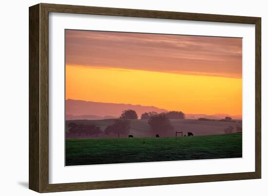 Golden Hour, Petaluma Hills, Farm Scene, Sonoma County-Vincent James-Framed Photographic Print