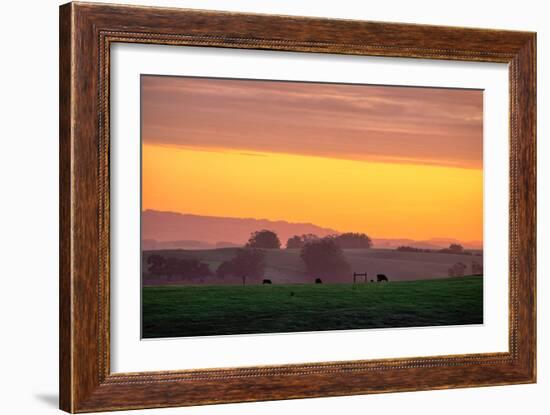 Golden Hour, Petaluma Hills, Farm Scene, Sonoma County-Vincent James-Framed Photographic Print