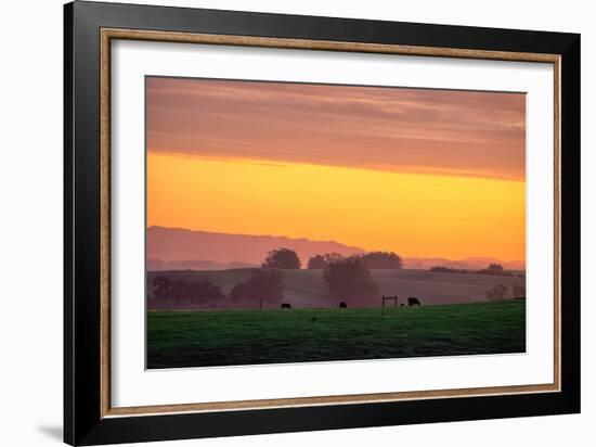 Golden Hour, Petaluma Hills, Farm Scene, Sonoma County-Vincent James-Framed Photographic Print