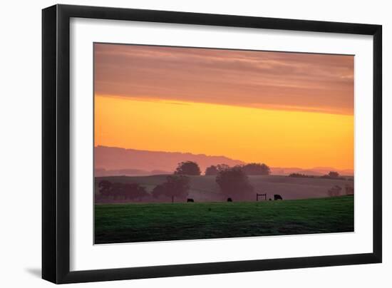 Golden Hour, Petaluma Hills, Farm Scene, Sonoma County-Vincent James-Framed Photographic Print