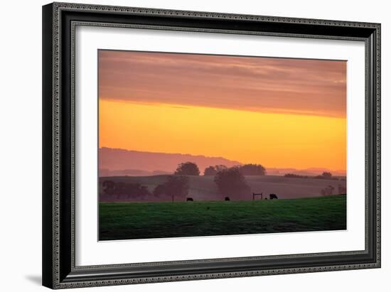 Golden Hour, Petaluma Hills, Farm Scene, Sonoma County-Vincent James-Framed Photographic Print