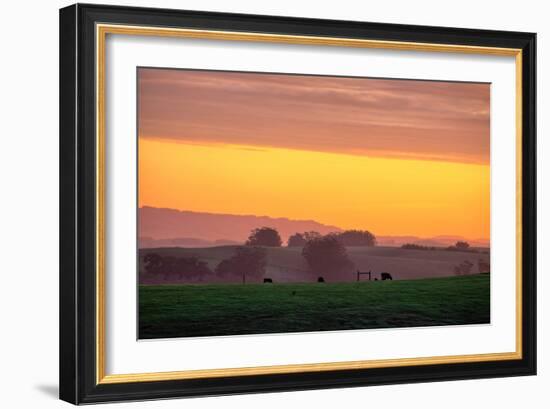 Golden Hour, Petaluma Hills, Farm Scene, Sonoma County-Vincent James-Framed Photographic Print