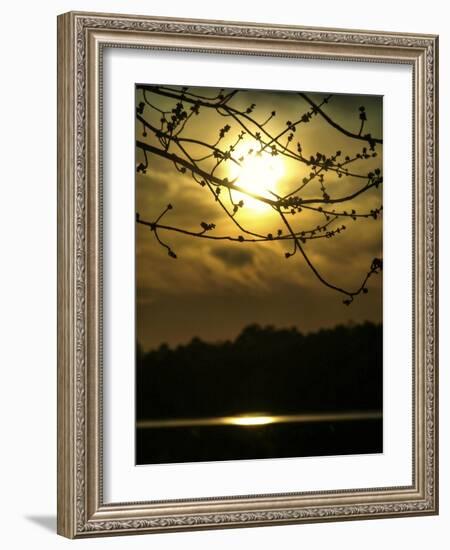 Golden Hour-Christy Ann-Framed Giclee Print