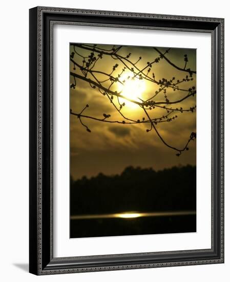 Golden Hour-Christy Ann-Framed Giclee Print