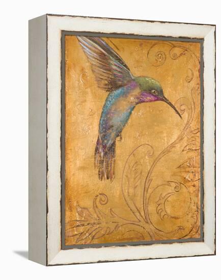 Golden Hummingbird I-Patricia Pinto-Framed Stretched Canvas