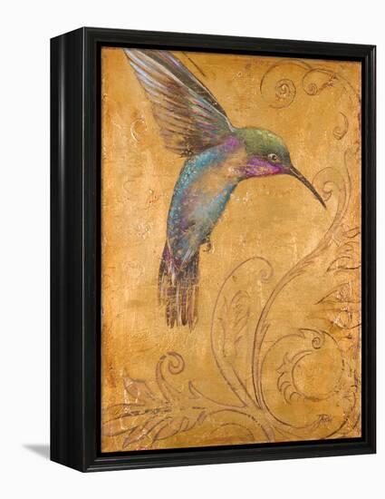 Golden Hummingbird I-Patricia Pinto-Framed Stretched Canvas