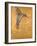 Golden Hummingbird I-Patricia Pinto-Framed Art Print