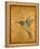 Golden Hummingbird II-Patricia Pinto-Framed Stretched Canvas