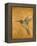 Golden Hummingbird II-Patricia Pinto-Framed Stretched Canvas