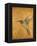 Golden Hummingbird II-Patricia Pinto-Framed Stretched Canvas