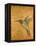 Golden Hummingbird II-Patricia Pinto-Framed Stretched Canvas