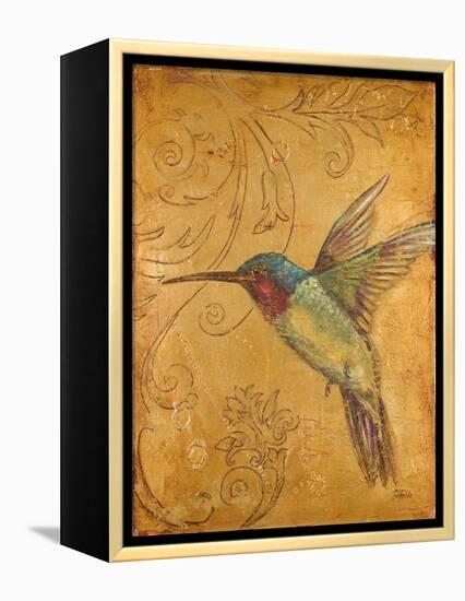 Golden Hummingbird II-Patricia Pinto-Framed Stretched Canvas